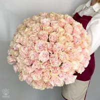 Букет Букет из 101 розовой розы под ленту Букет Букет из 101 розовой розы под ленту