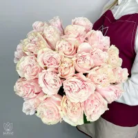 Букет Букет из 25 розовых роз под ленту
