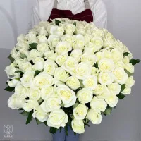 Букет Букет из 101 белой розы под ленту Букет Букет из 101 белой розы под ленту
