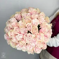 Букет Букет из 51 розовой розы под ленту