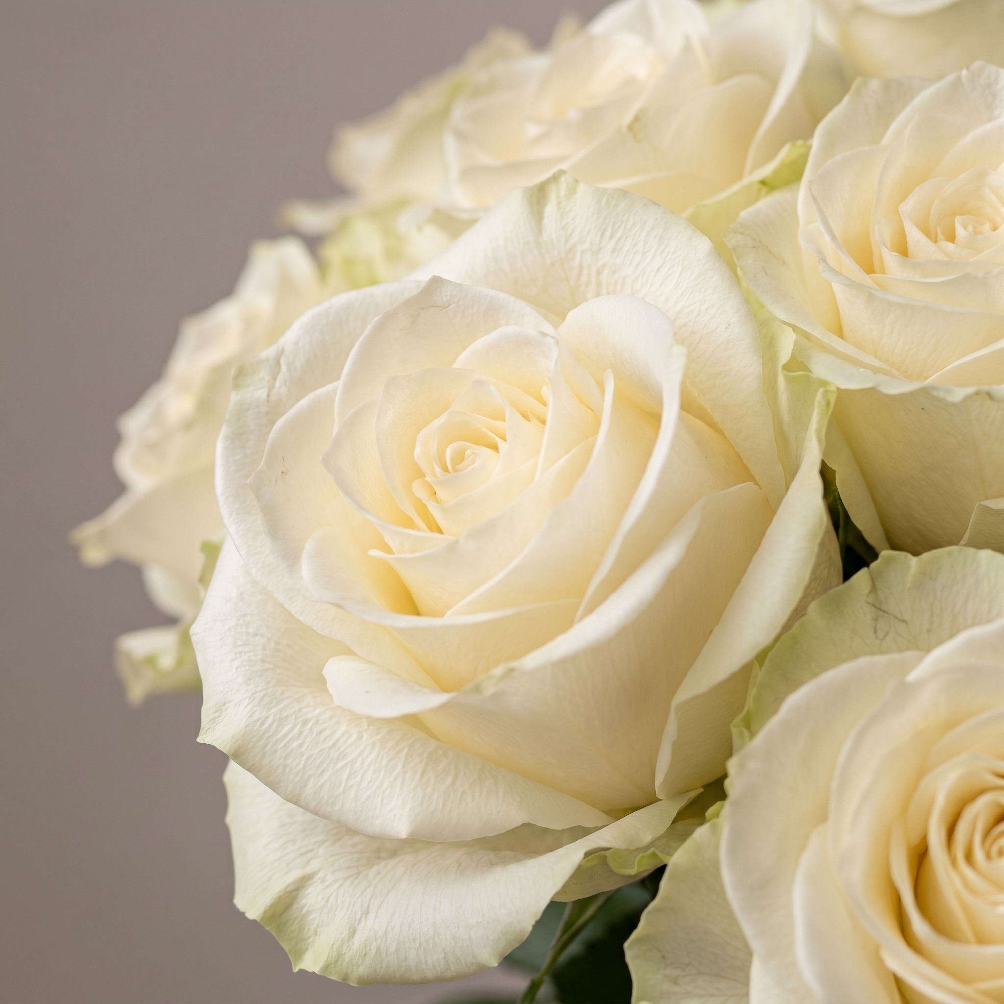 Букет Букет из 15 белых роз под ленту