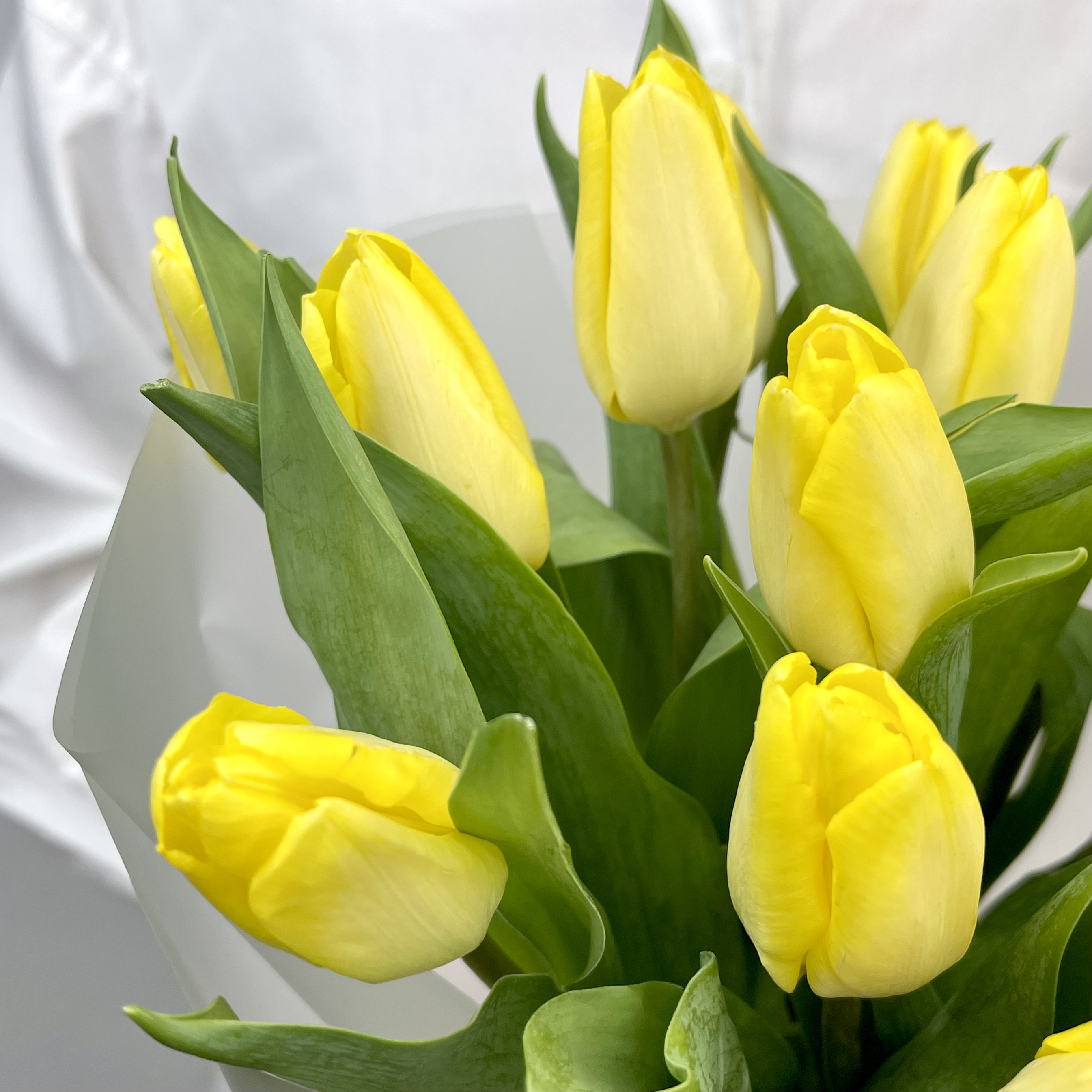 Букет Монобукет из желтых тюльпанов №1