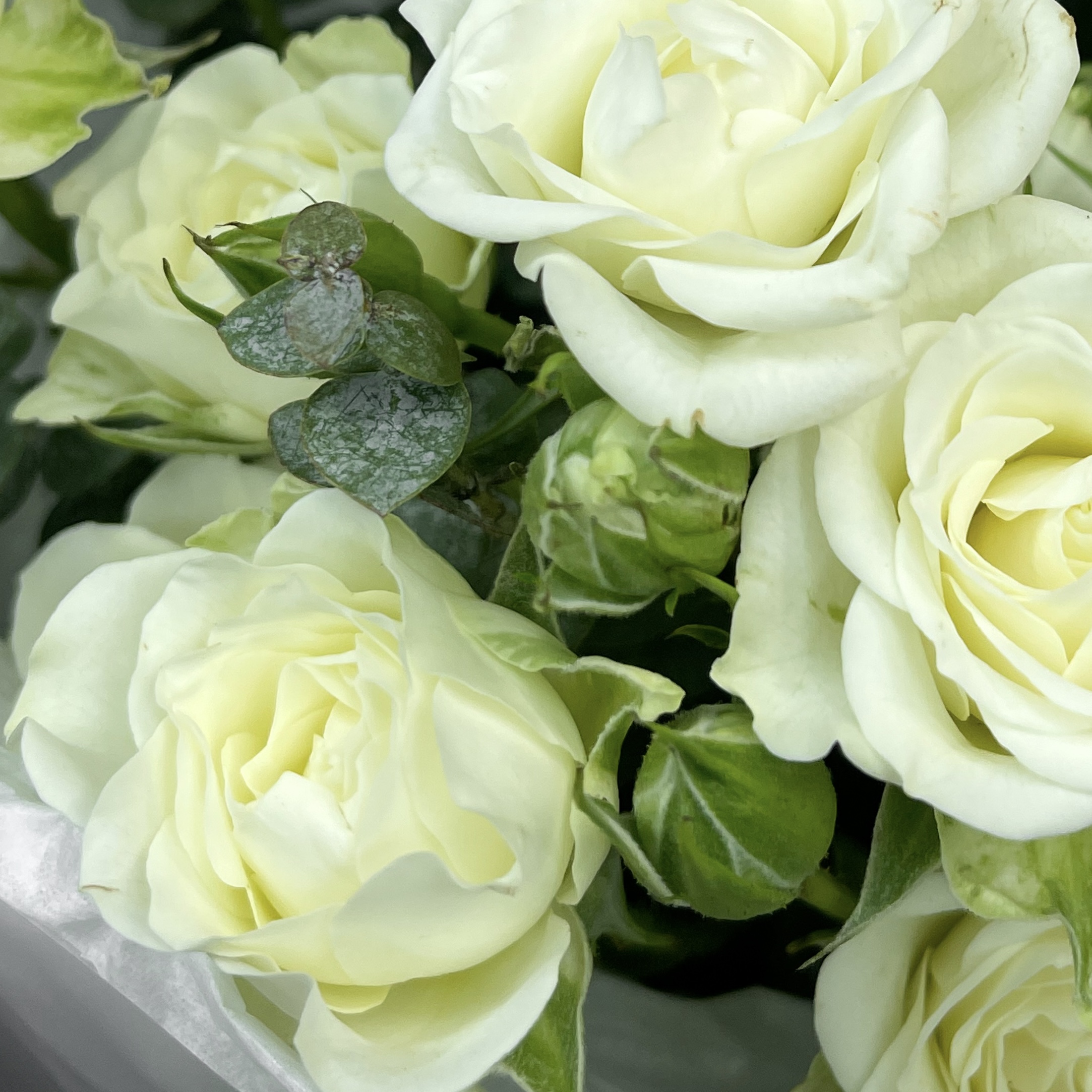 Букет Атлантида