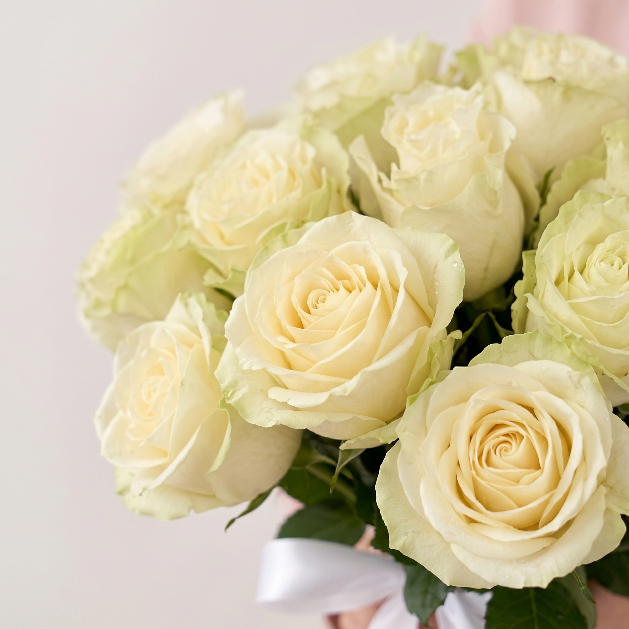 Букет Букет из 15 белых роз под ленту