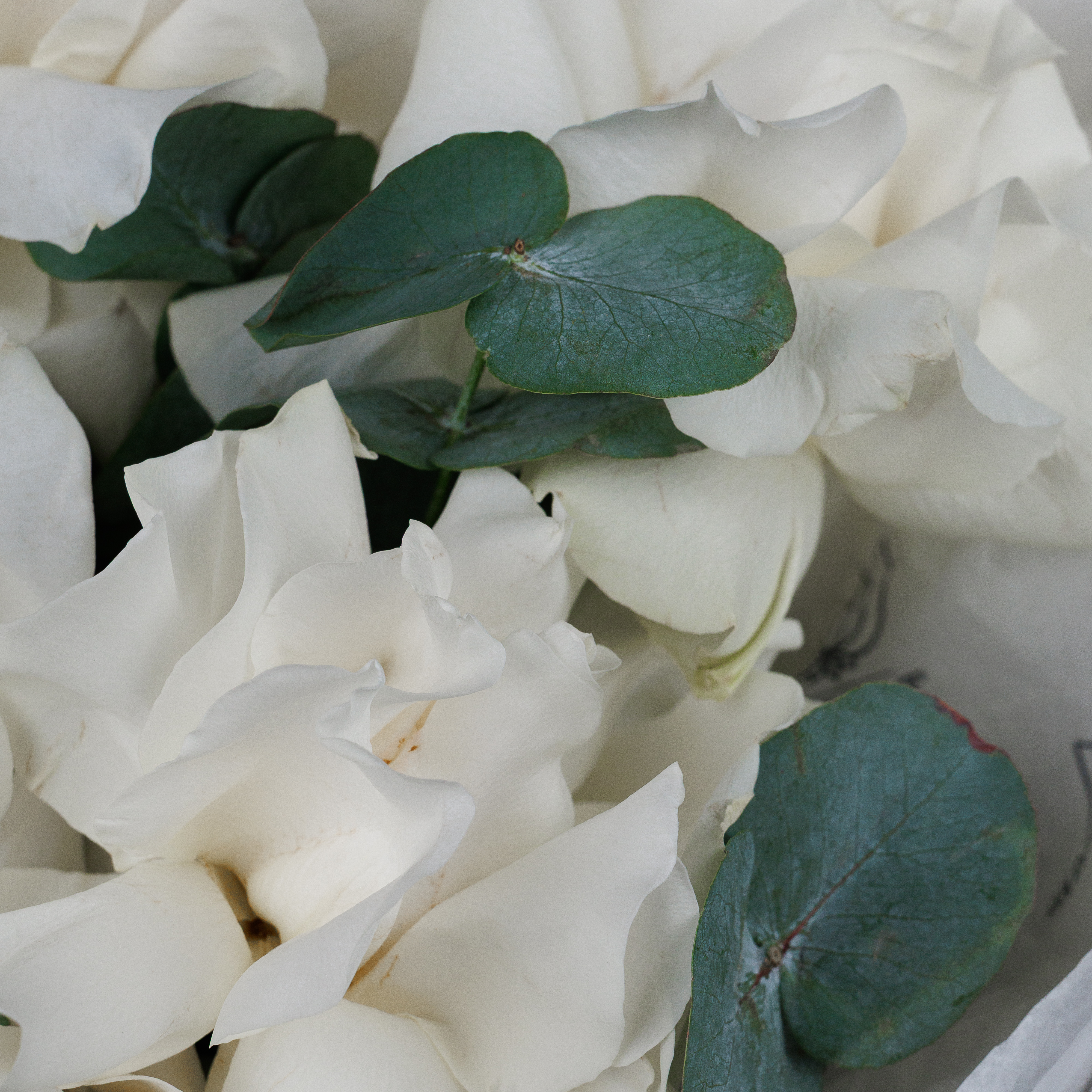 Букет Танец балерины