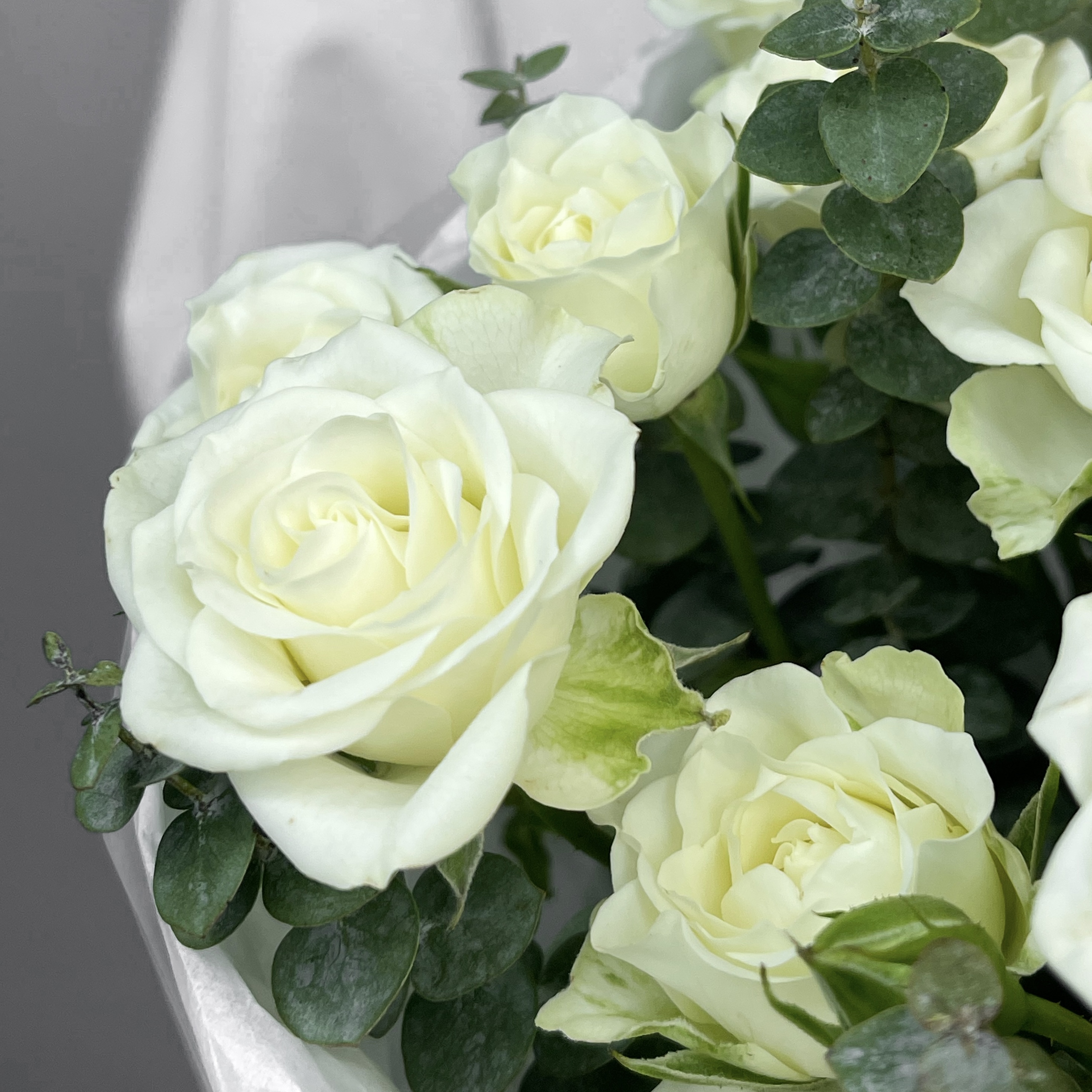 Букет Атлантида