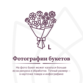 Букет Букет из 51 розовой розы под ленту